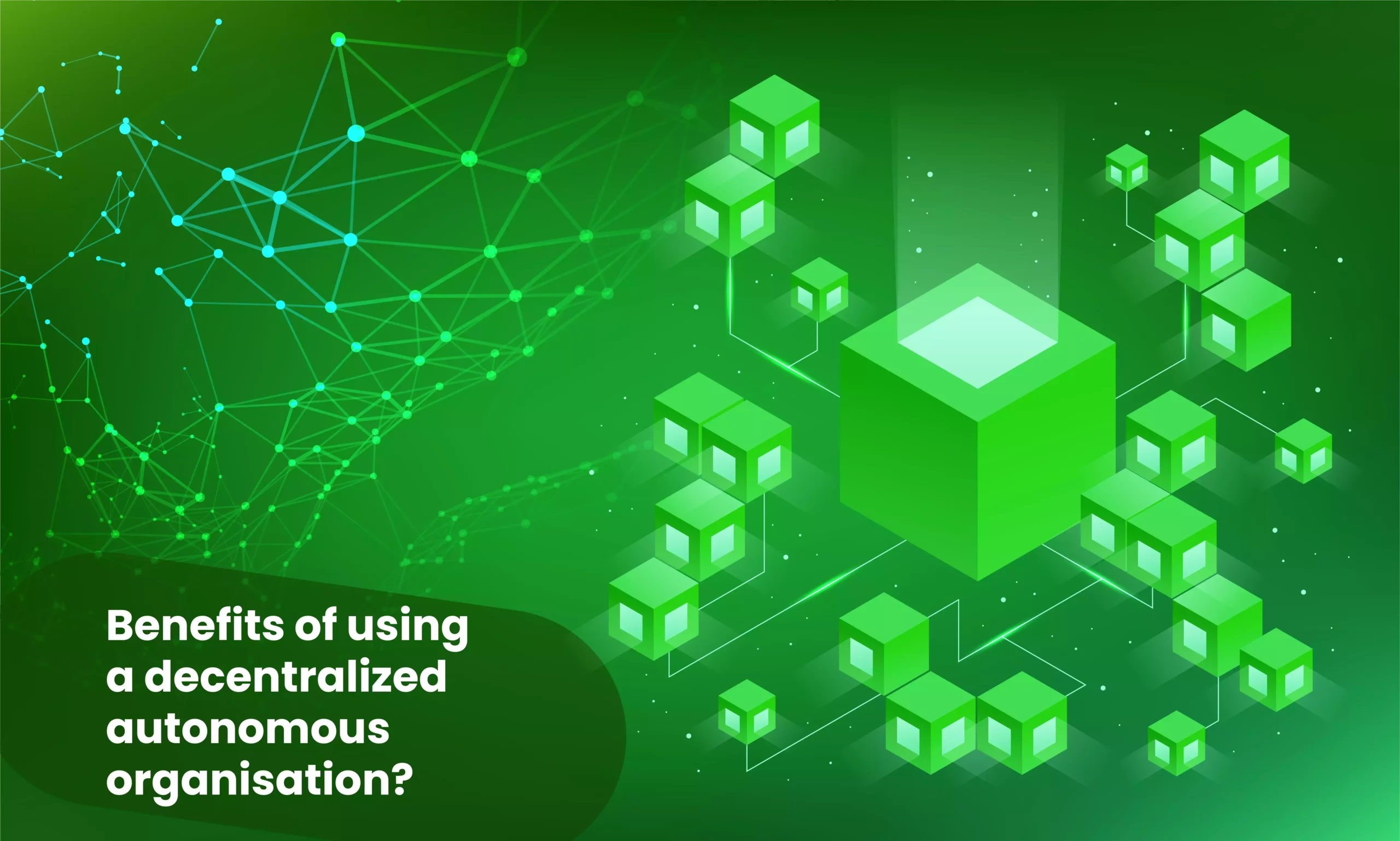 Read more about the article What are the ultimate benefits of using a Decentralized Autonomous Organisation?