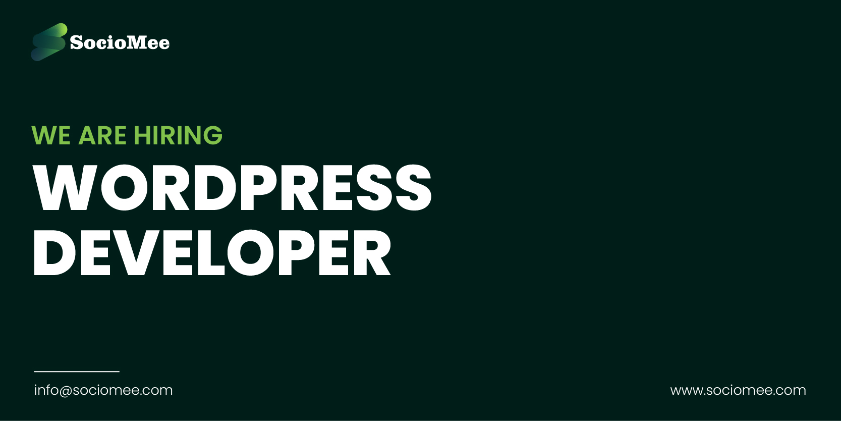 Read more about the article WordPress Developer